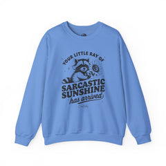 Little Ray of Sarcastic Sunshine Sweatshirt