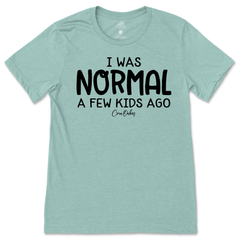 I Was Normal T-Shirt
