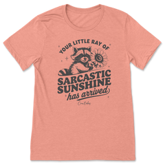 Sarcastic Ray of Sunshine T-Shirt