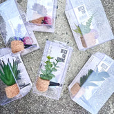 Plant Car Air Freshener Diffuser