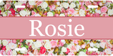 Personalized License Plate - Rosie