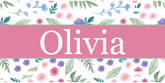 Personalized License Plate - Olivia