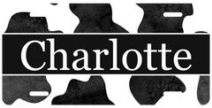 Personalized License Plate - Charlotte