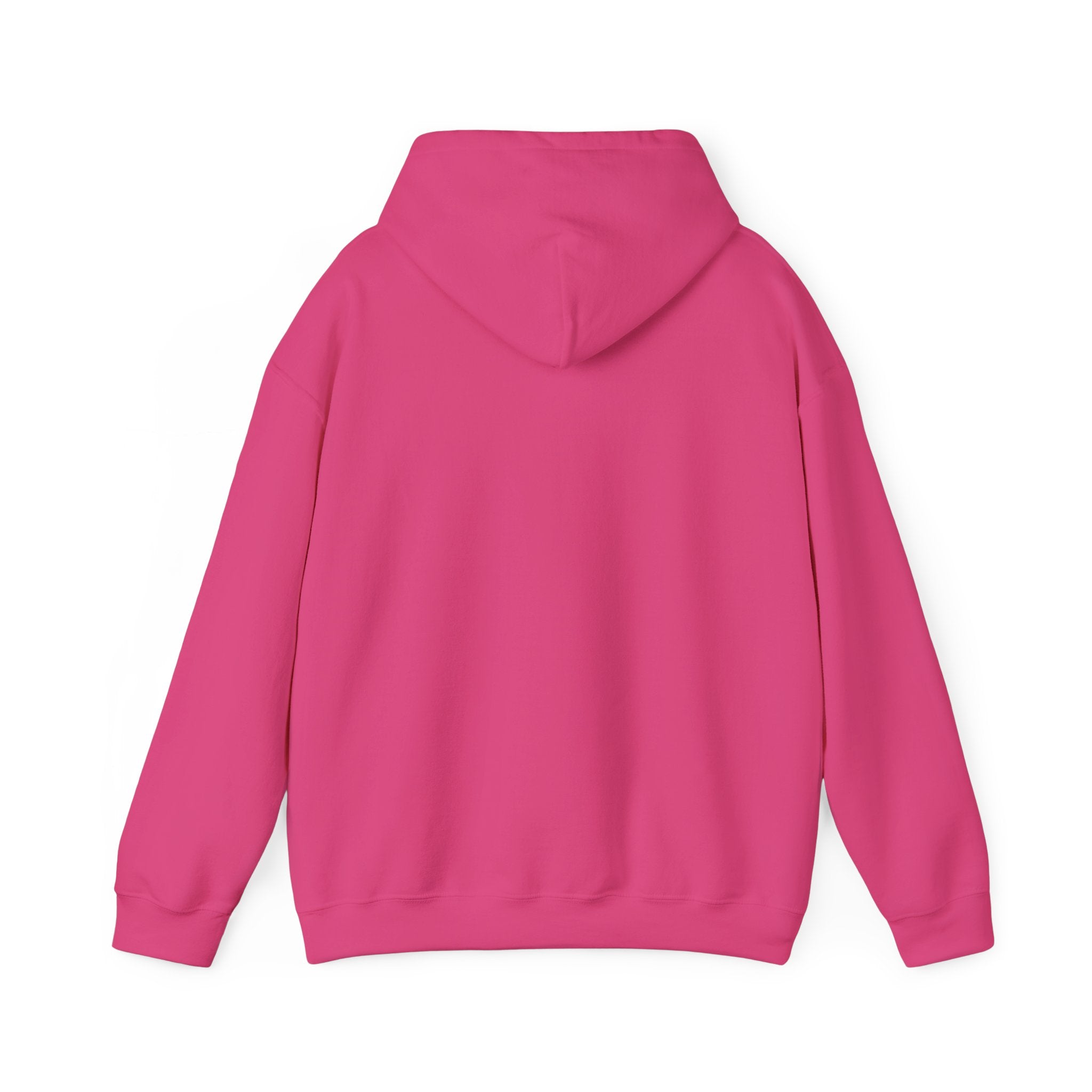 Chaos Coordinator Hoodie