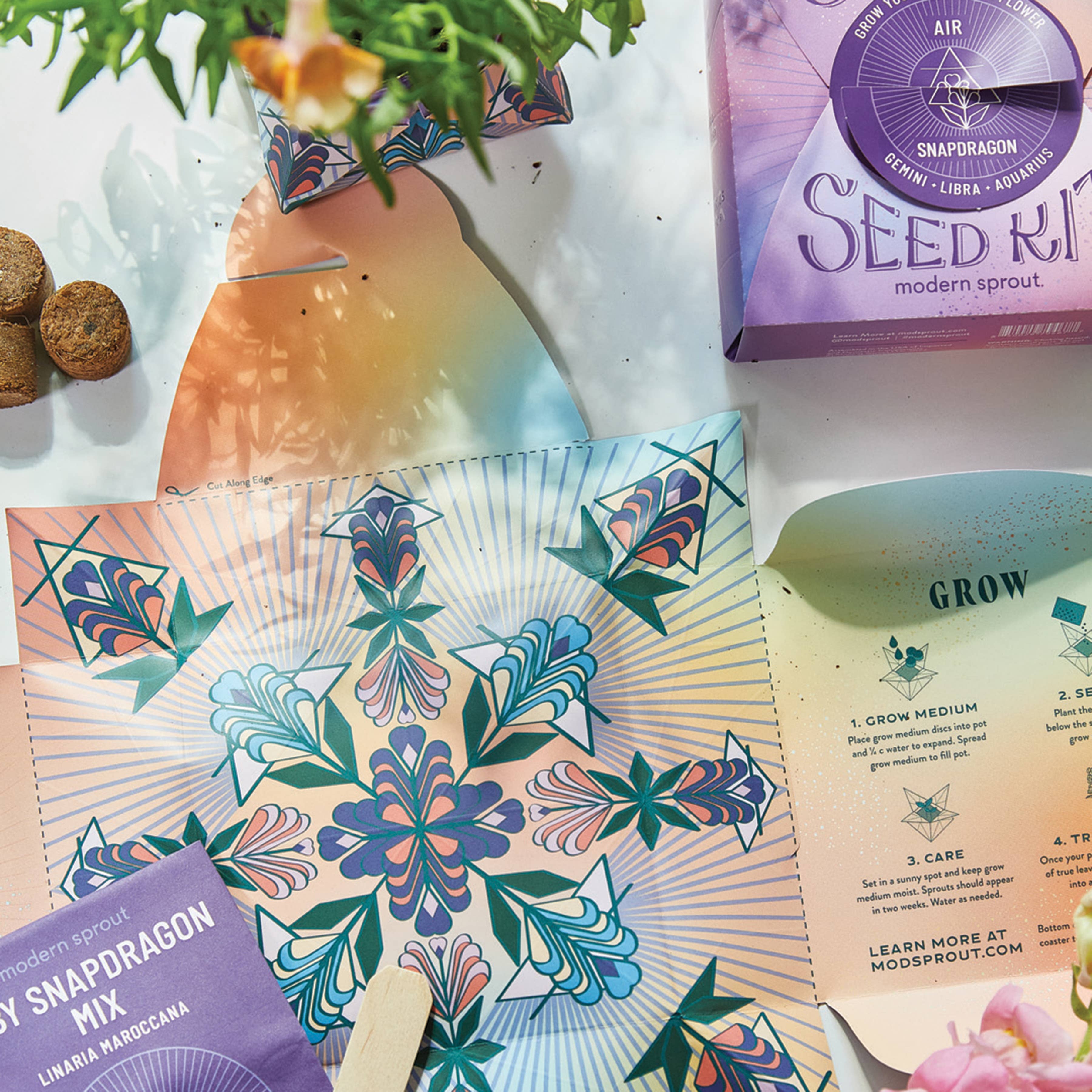 Cosmic Seed Kit | Water: Poppy