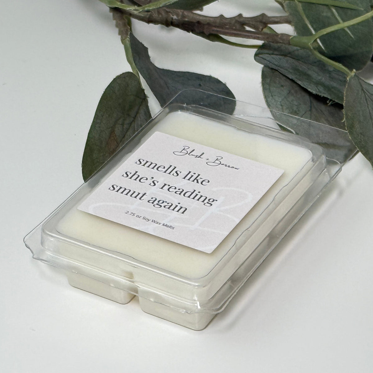 Smells Like She's Reading Smut Again Wax Melts